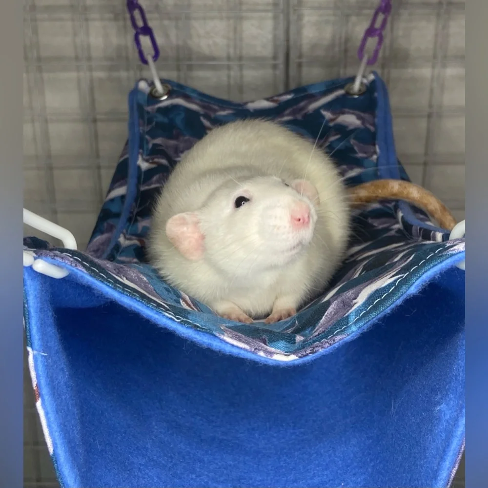 Custom hammocks for small pets